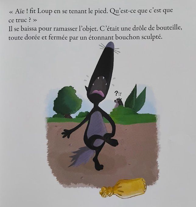 Mes histoires de loup