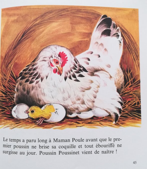 Mes petits amis de la ferme