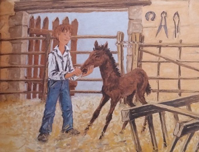 Mistral cheval de gardian