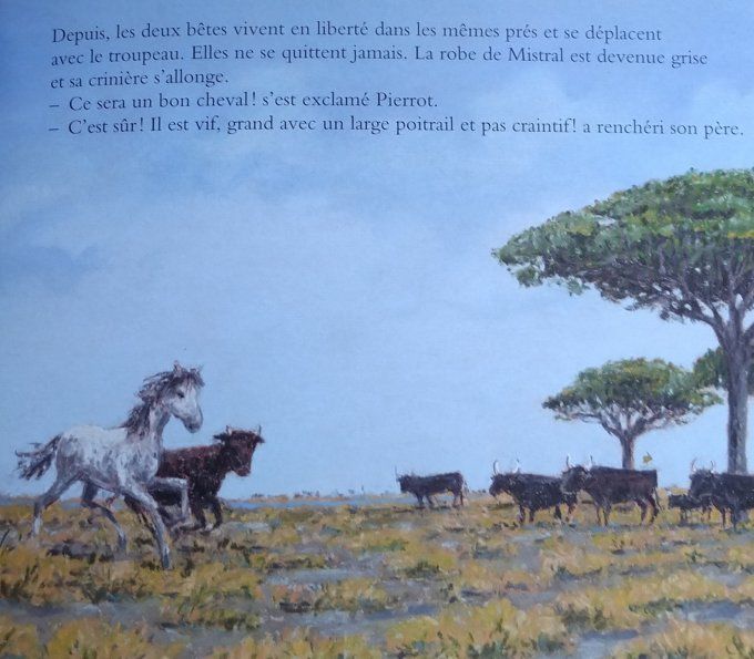 Mistral, cheval de gardian