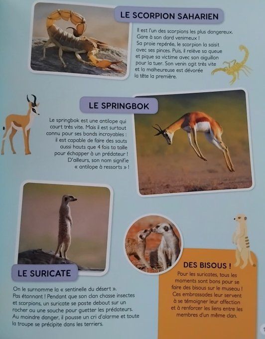 Mon premier atlas des animaux