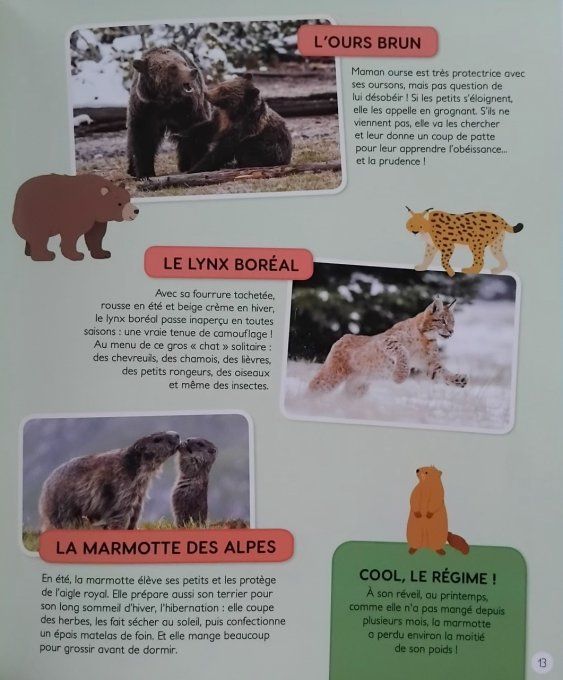Mon premier atlas des animaux