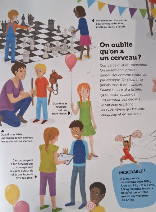 Questions/réponses mon cerveau