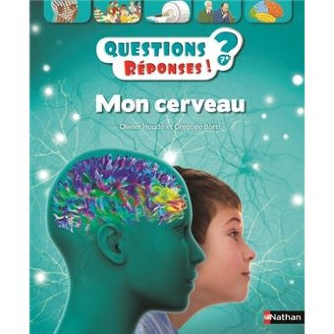 Questions/réponses mon cerveau