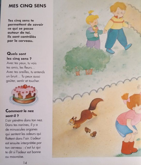 Questions/réponses mon corps