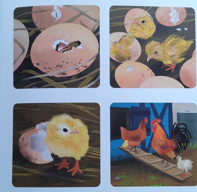 Mon doc en images la ferme