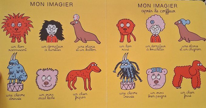 Mon imagier après la tempête