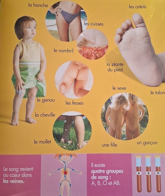 Mon imagier du corps