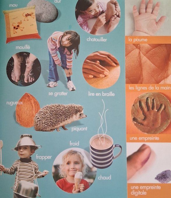 Mon imagier du corps