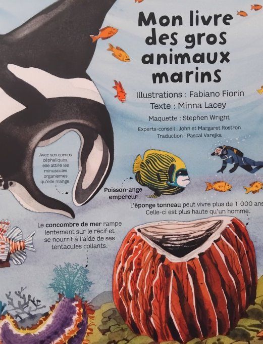 Mon livre des gros animaux marin et d'autres plus petits