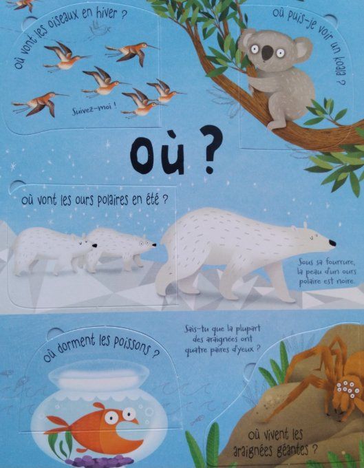 Mon livre des questions-réponses les animaux