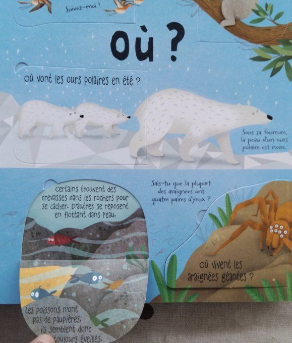 Mon livre des questions-réponses les animaux