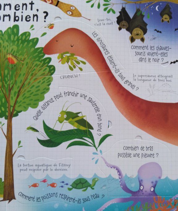 Mon livre des questions-réponses les animaux
