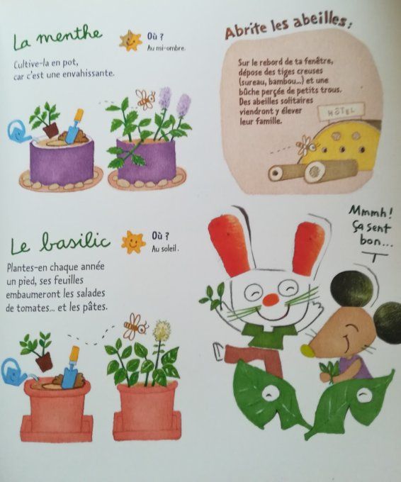 Mon p'tit potager bio