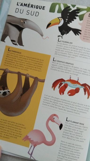 Mon premier atlas des animaux