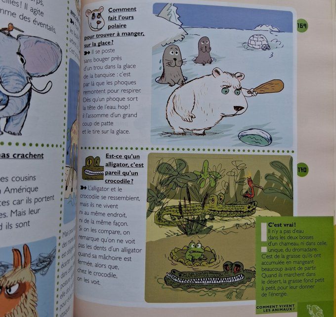 Mon premier Larousse des comment ?