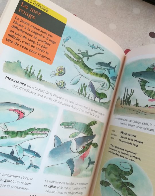 Mon premier Larousse des dinosaures