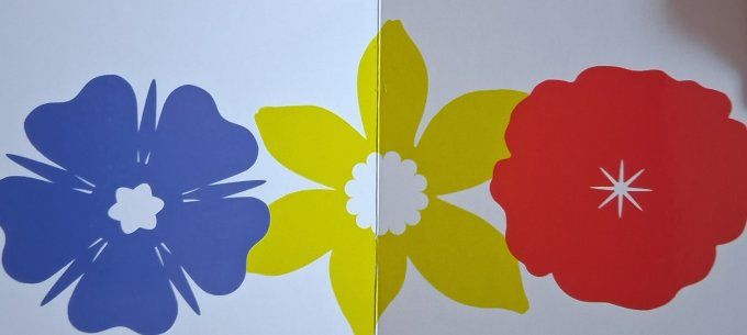 Mon premier livre en couleurs