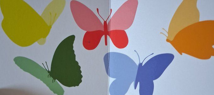 Mon premier livre en couleurs