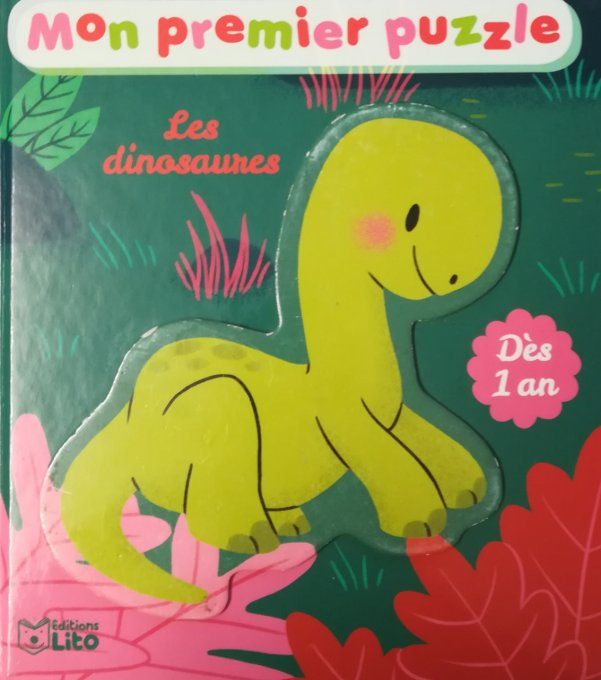Lot 2 livres dinosaures