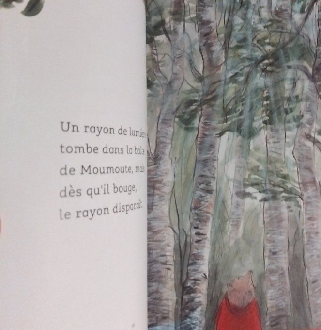 Moumoute et la boîte aux trésors