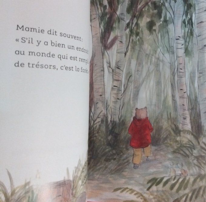 Moumoute et la boîte aux trésors