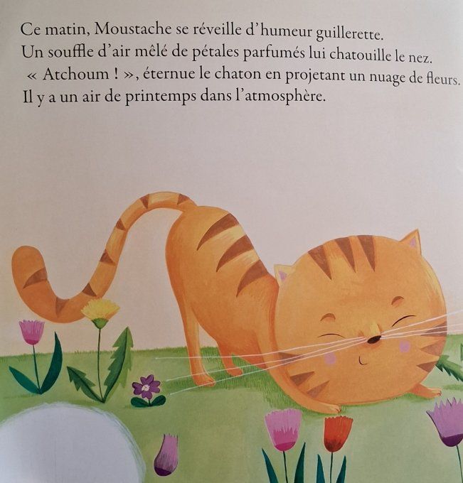 Moustache le roi des bêtises