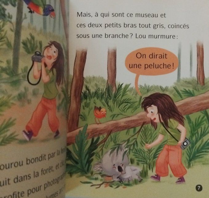 Les animaux de Lou n'aie pas peur Petit Koala