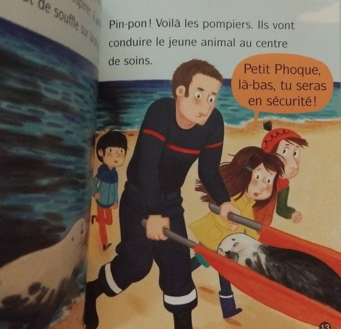 Les animaux de Lou, nage petit phoque !