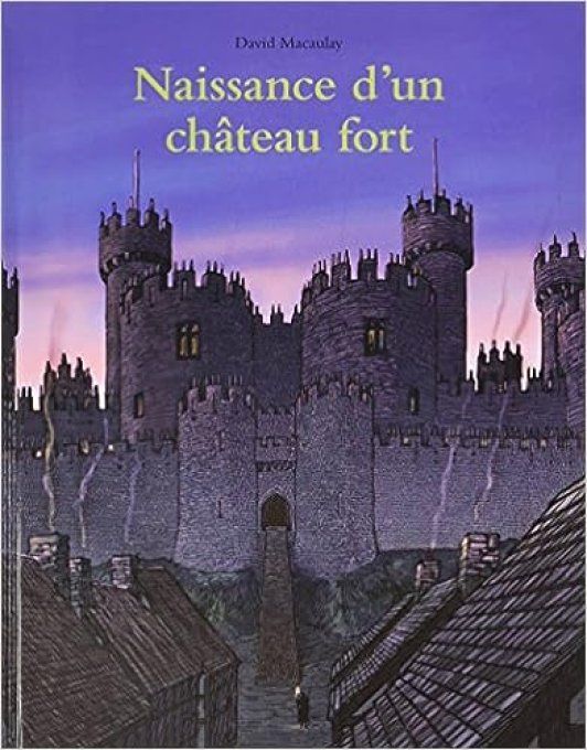 Naissance d'un château fort