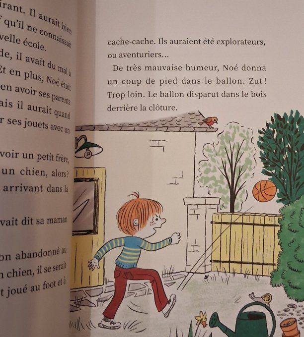 Les aventures de Noé et Azote, un troll au fond du jardin