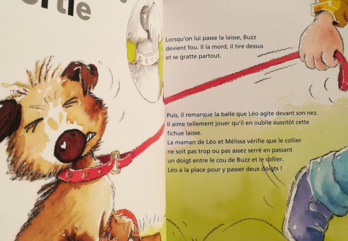 Je prends soin de notre nouveau chien