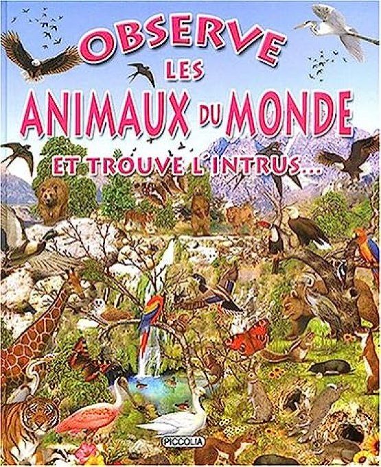 Observe les animaux du monde et trouve l'intrus