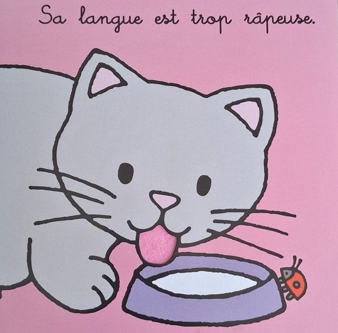 Où est mon chaton ?