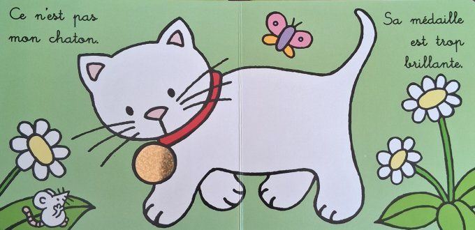 Où est mon chaton ?