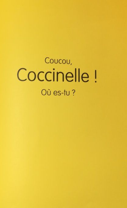 Où es-tu coccinelle ?