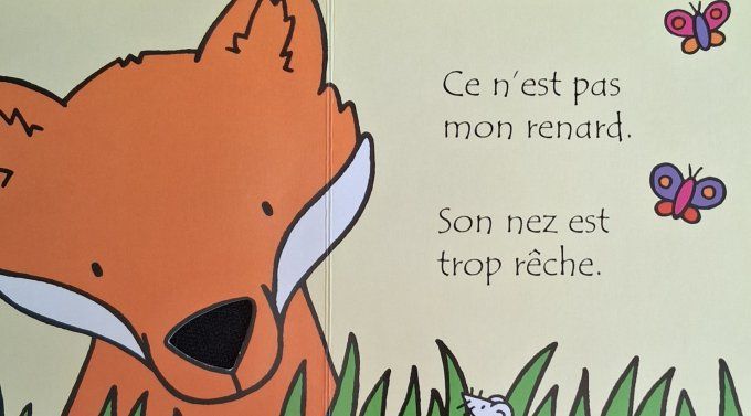 Où est mon renard ?