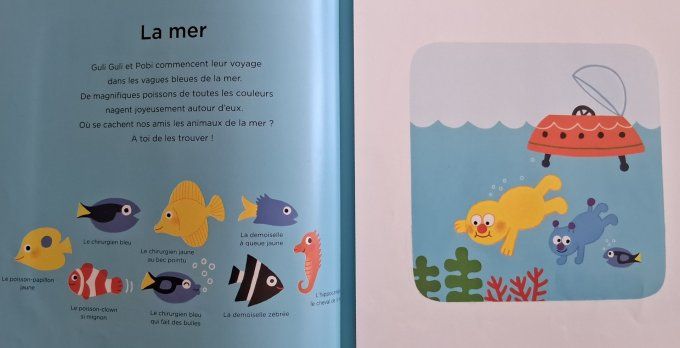 Où est Pobi ?