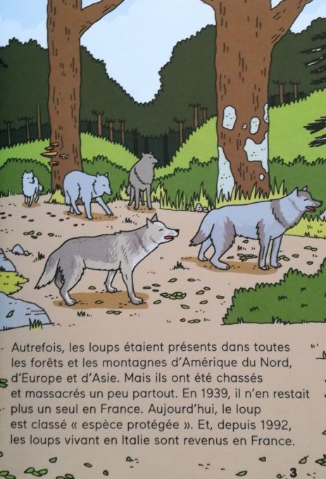 Pas peur du loup