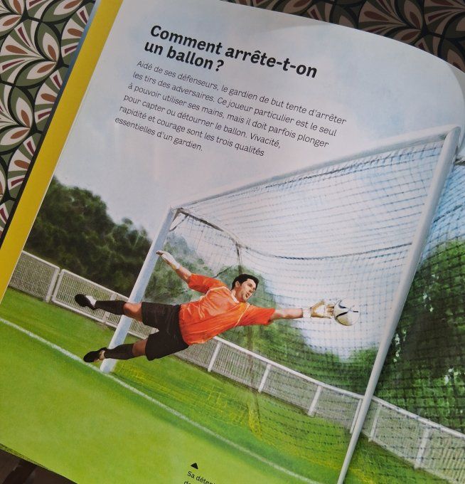 Questions/réponses passion football