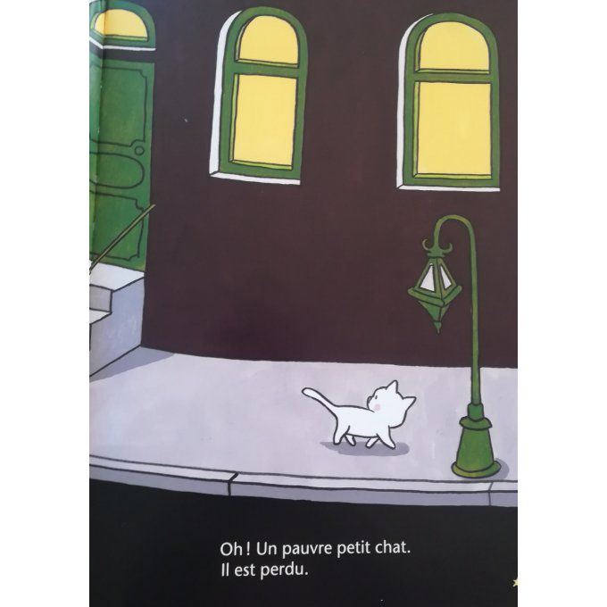 Pauvre petit chat