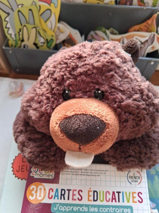 Peluche castor
