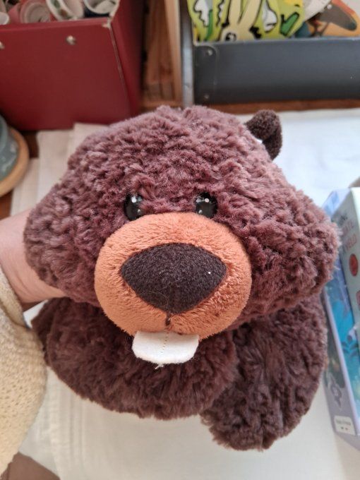 Peluche castor