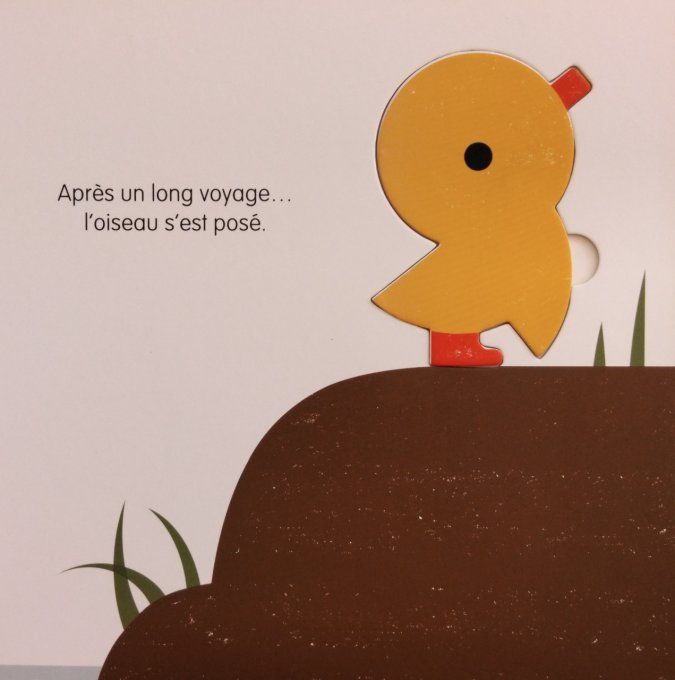 Petit à petit