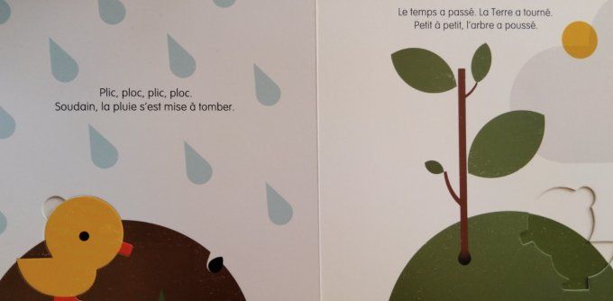 Petit à petit