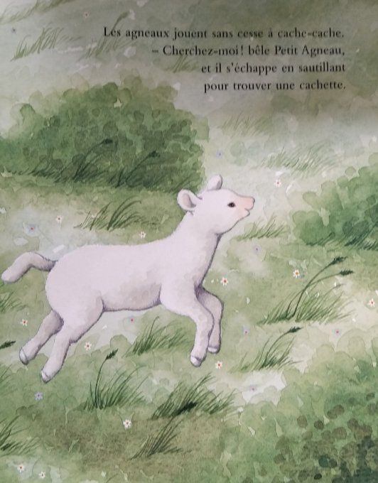 Petit Agneau un livre à caresser