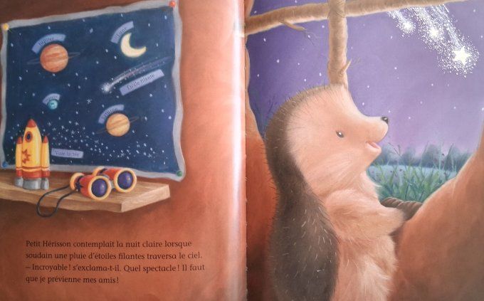 Petit hérisson et les étoiles filantes