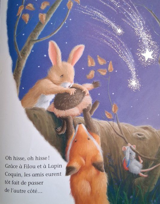 Petit hérisson et les étoiles filantes