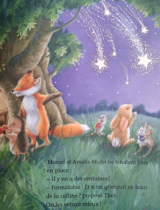 Petit hérisson et les étoiles filantes