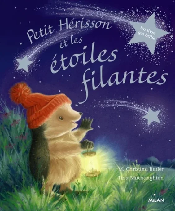 Petit hérisson et les étoiles filantes